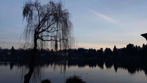 Silhouette trees by lake against sky during sunset