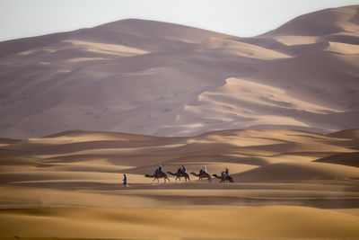 Group of people riding horse in desert