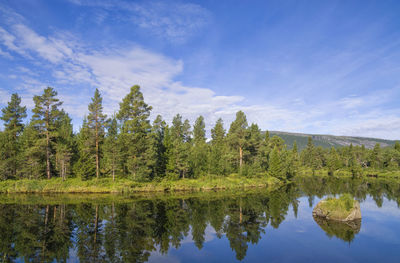 Scenic view of lake by trees against sky