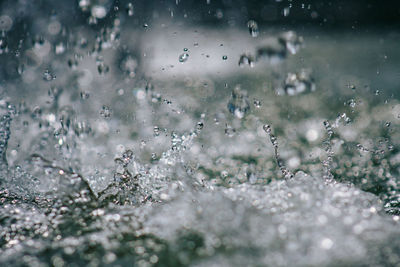 Close-up of water drops on leaves