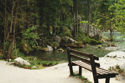 Bench by lake in forest