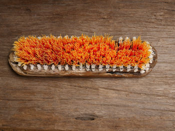 High angle view of orange flowers on table