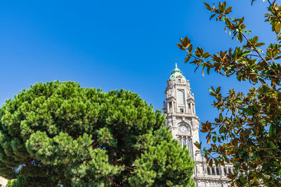 Low angle view of trees against clear blue sky