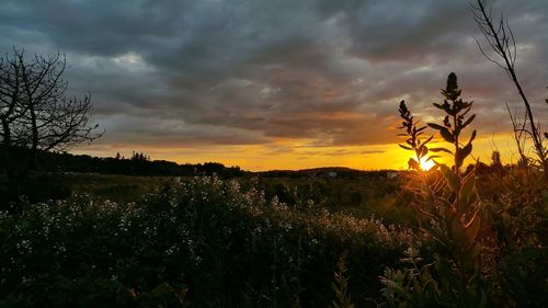 Scenic view of landscape against cloudy sky