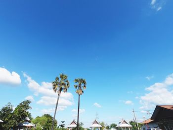 Low angle view of trees and building against sky