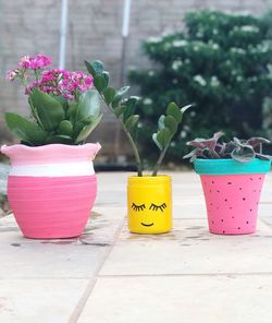 Close-up of potted plant on table in greenhouse