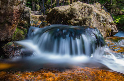 Scenic view of waterfall in forest