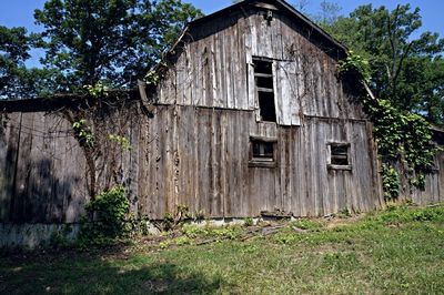 House on field