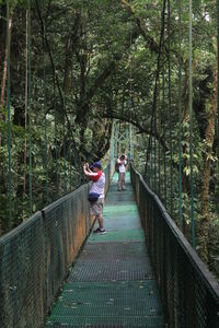 Rear view of people walking on footbridge in forest