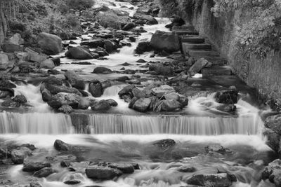 Scenic view of waterfall in forest