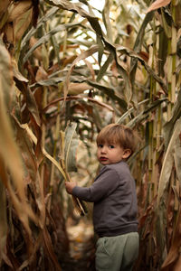 Portrait of boy standing amidst plants