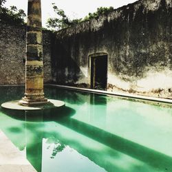 Reflection of trees on swimming pool