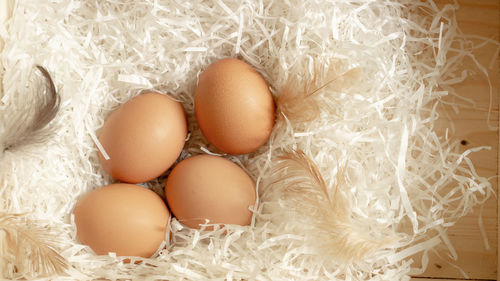 Four brown hen eggs and chicken feather on white shredded paper in wooden basket, top view photo