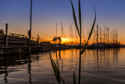 Scenic view of sunset over sea