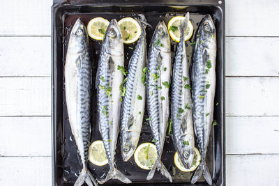 Directly above shot of fish in tray on table