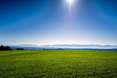 Scenic view of field against blue sky