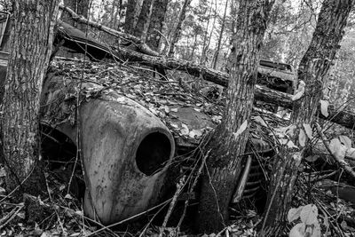 Close-up of old wooden fence in forest