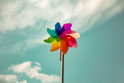 Low angle view of pink flowering plant against sky