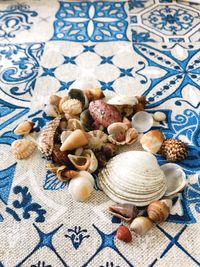 Close-up of shells