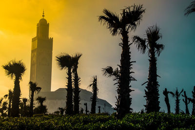 Low angle view of palm trees against sky