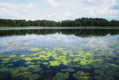 Scenic view of lake