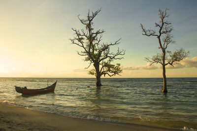 Scenic view of calm sea at sunset
