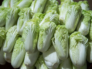 Close-up of vegetables for sale in market