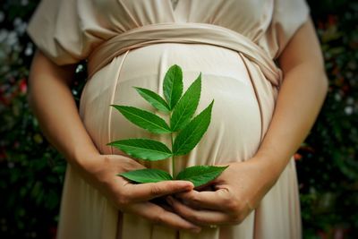 Midsection of woman holding plant