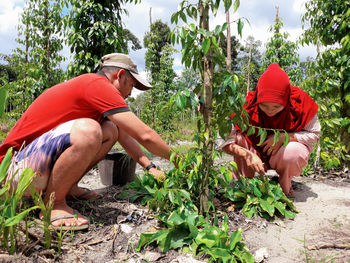 People sitting by plants kencur