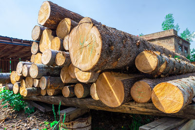 timber