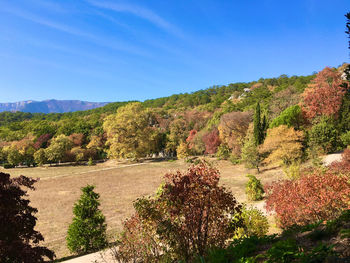 Plants growing on land against sky during autumn