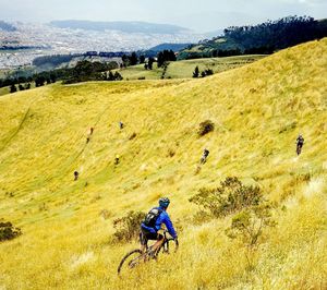 People riding bicycle on mountain road