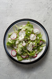 Summer itaian salas with lettuce, radishes, and sauce in a plate. top view. copy space.