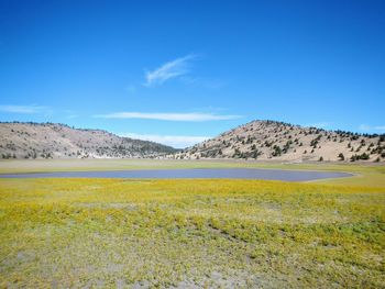 Scenic view of field against blue sky