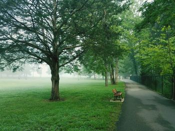 Trees on field