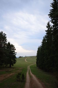 Road amidst trees against sky