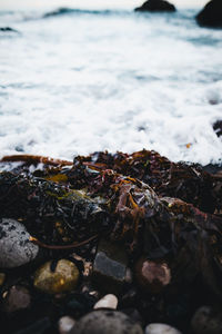 High angle view of rocks by sea