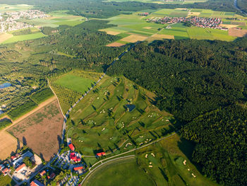 High angle view of agricultural field