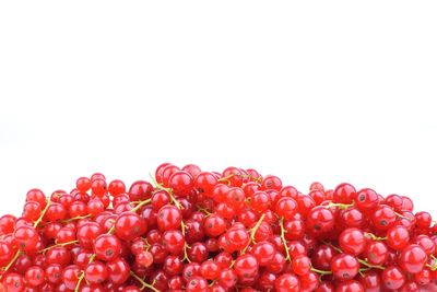 Close-up of cherries against white background