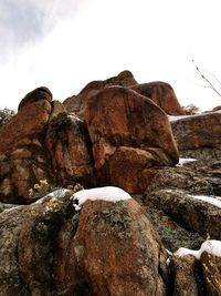 Low angle view of lizard on rock against sky