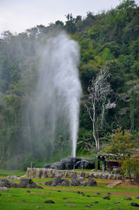 Scenic view of waterfall in forest