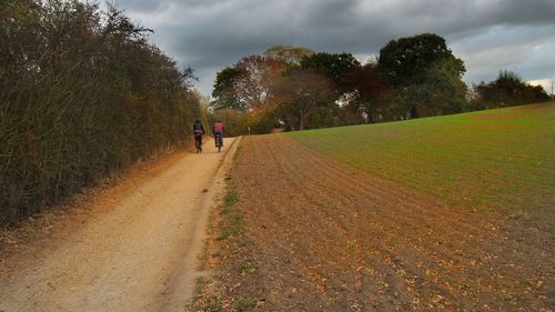 Rear view of people walking on field by trees against sky