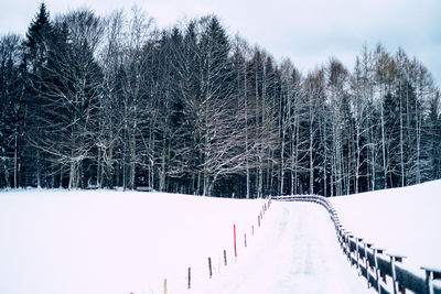 Snow covered land and trees against sky