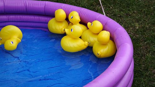 Close-up of multi colored swimming pool