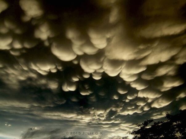 sky, low angle view, cloud - sky, cloudy, weather, overcast, nature, beauty in nature, scenics, tranquility, cloud, cloudscape, outdoors, storm cloud, tree, no people, dusk, tranquil scene, backgrounds, dramatic sky