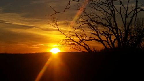 Silhouette trees against sky during sunset