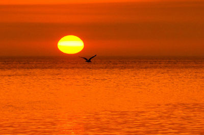 Scenic view of sea at sunset