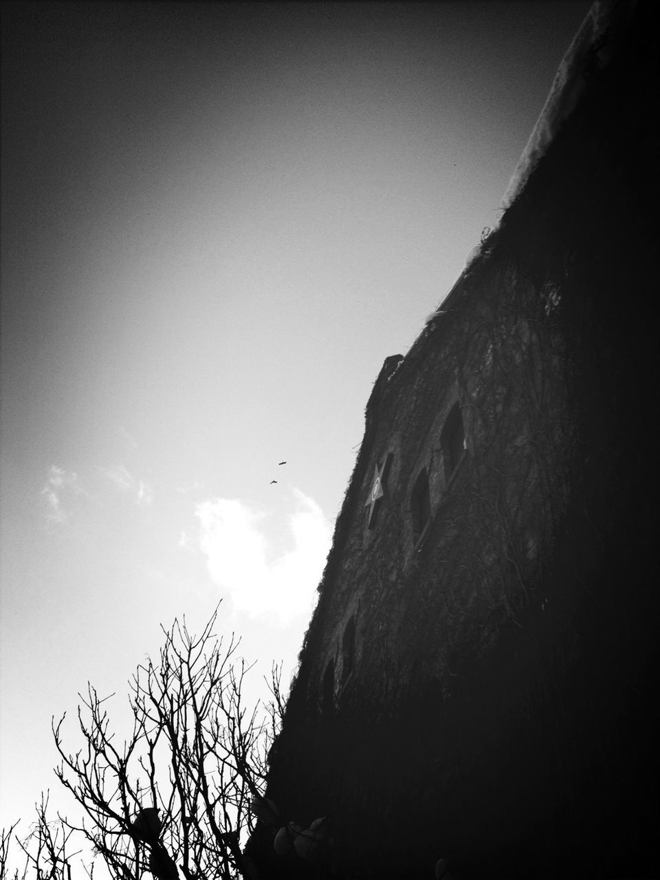 low angle view, sky, tree, clear sky, nature, silhouette, tranquility, built structure, rock - object, outdoors, architecture, day, no people, rock formation, copy space, beauty in nature, tranquil scene, building exterior, scenics, bare tree