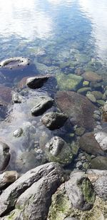 High angle view of pebble beach