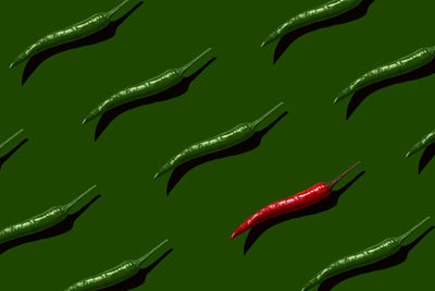 Pattern of chili peppers. red and green. pop-art style. web-banner, web design, website backgrounds.